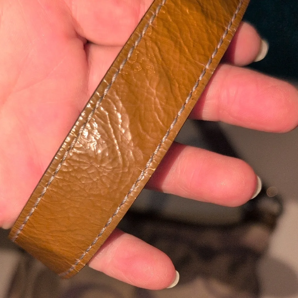 Coach Tan, Brown and Purple Crossbody Bag
